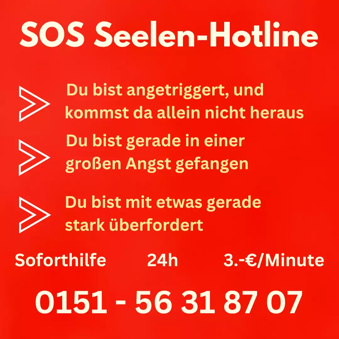 SOS Seelen-Hotline der Phönix Universal Schule von Josefine V.D. Kramer