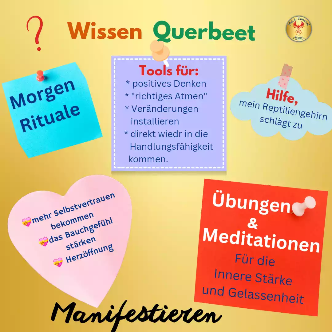 Titelbild des Videokurses "Wissen Querbeet" der Phönix Universal Schule Titelbild des Videokurses "Wissen Querbeet" der Phönix Universal Schule
